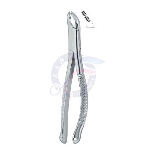 Bicuspids and Incisors, Roots 150AS