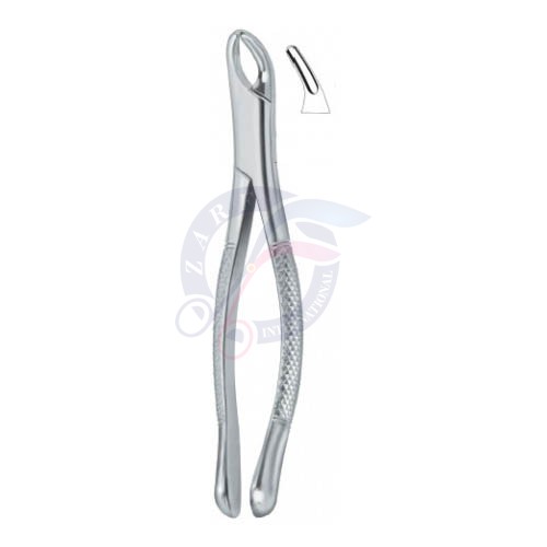  Cryer Bicuspids , Incisors and Roots 150