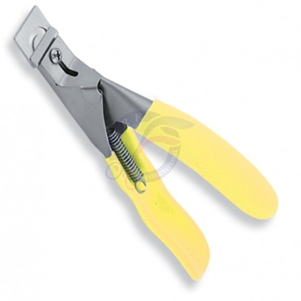 Pedicure & Nail Care