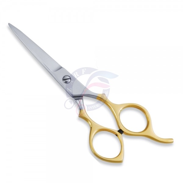 Economy Scissor