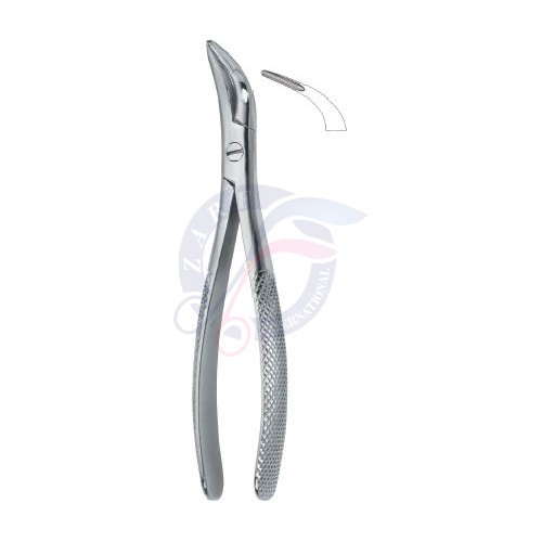 Witzel Root Fragments and Universal 502