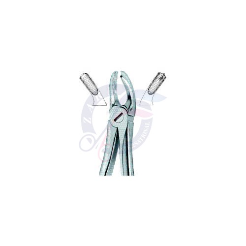 Molars,Left 18 